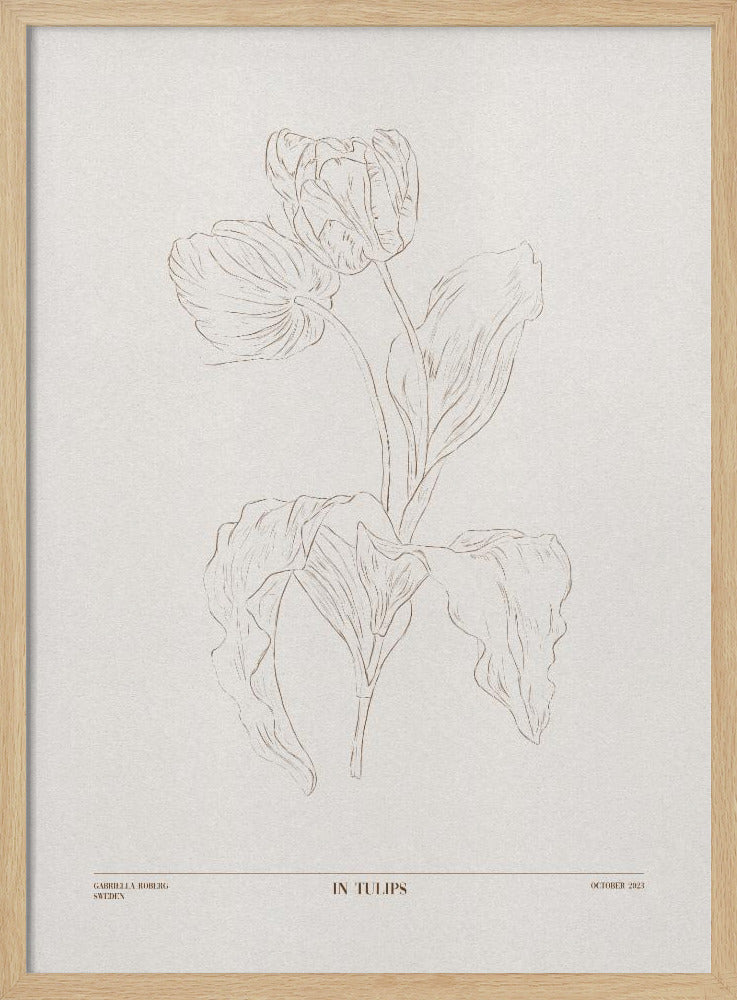 In Tulpen (braun) | Poster