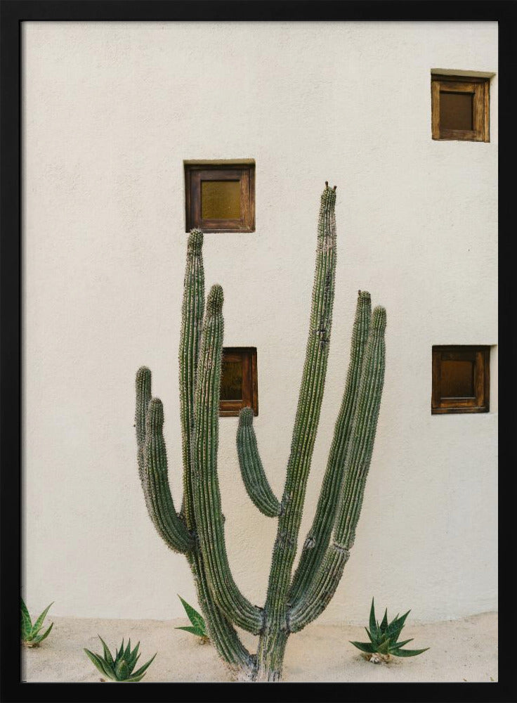 Cabo Kaktus IX | Poster