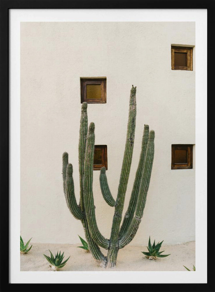 Cabo Kaktus IX | Poster