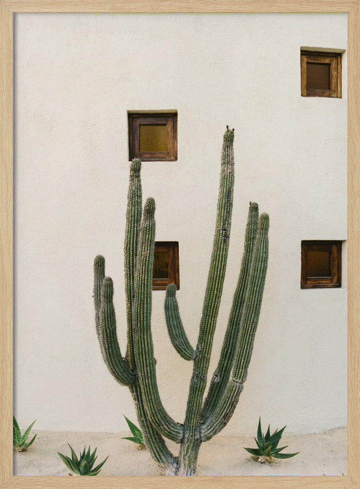Cabo Kaktus IX | Poster