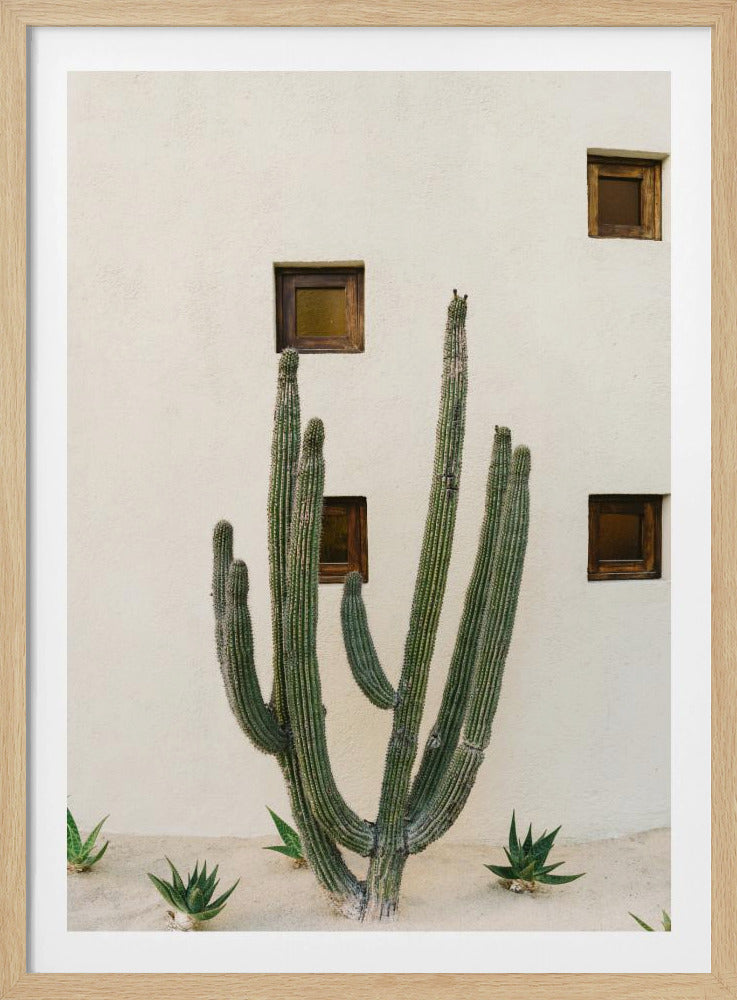 Cabo Kaktus IX | Poster
