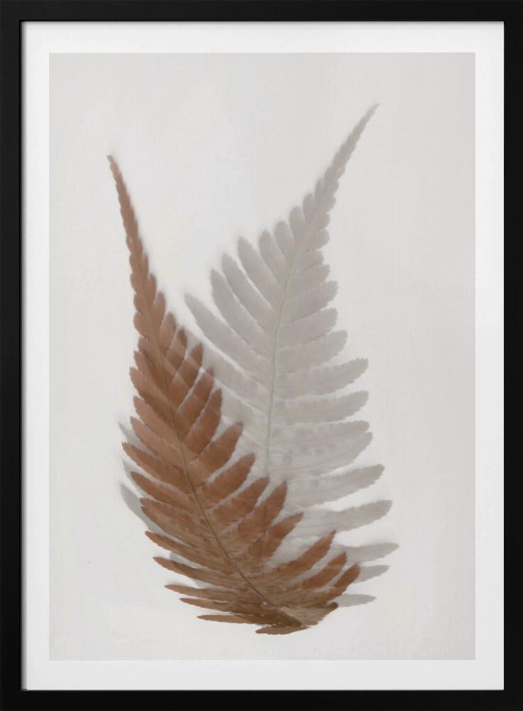 Herbstfarn | Poster