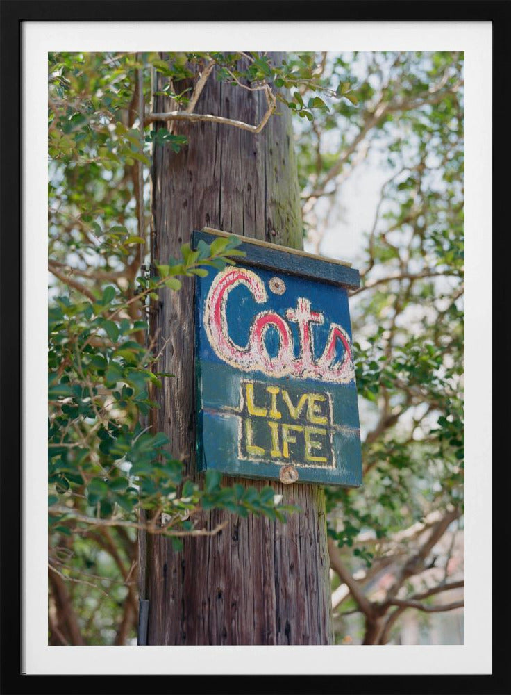 New Orleans Katzen | Poster