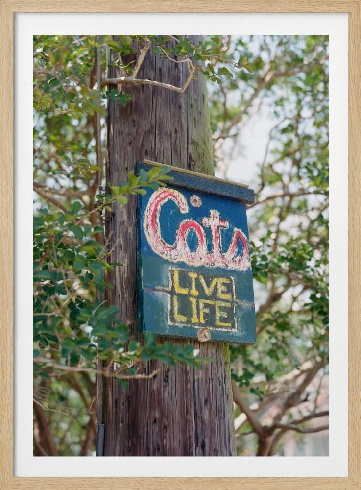 New Orleans Katzen | Poster
