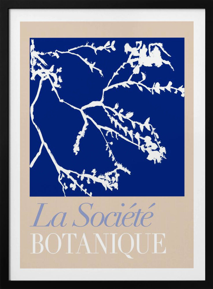 La Société Botanique White Flower 2 | Poster