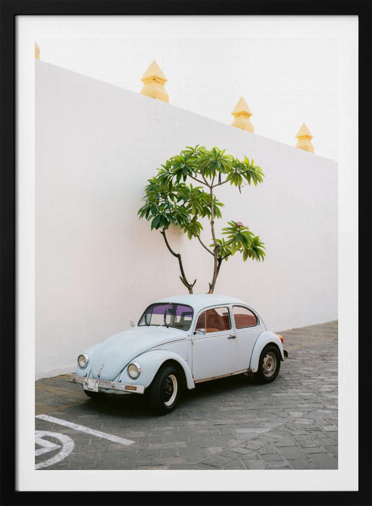 Pastellfarbener Volkswagen Käfer in den Straßen von Oaxaca, Mexiko | Poster