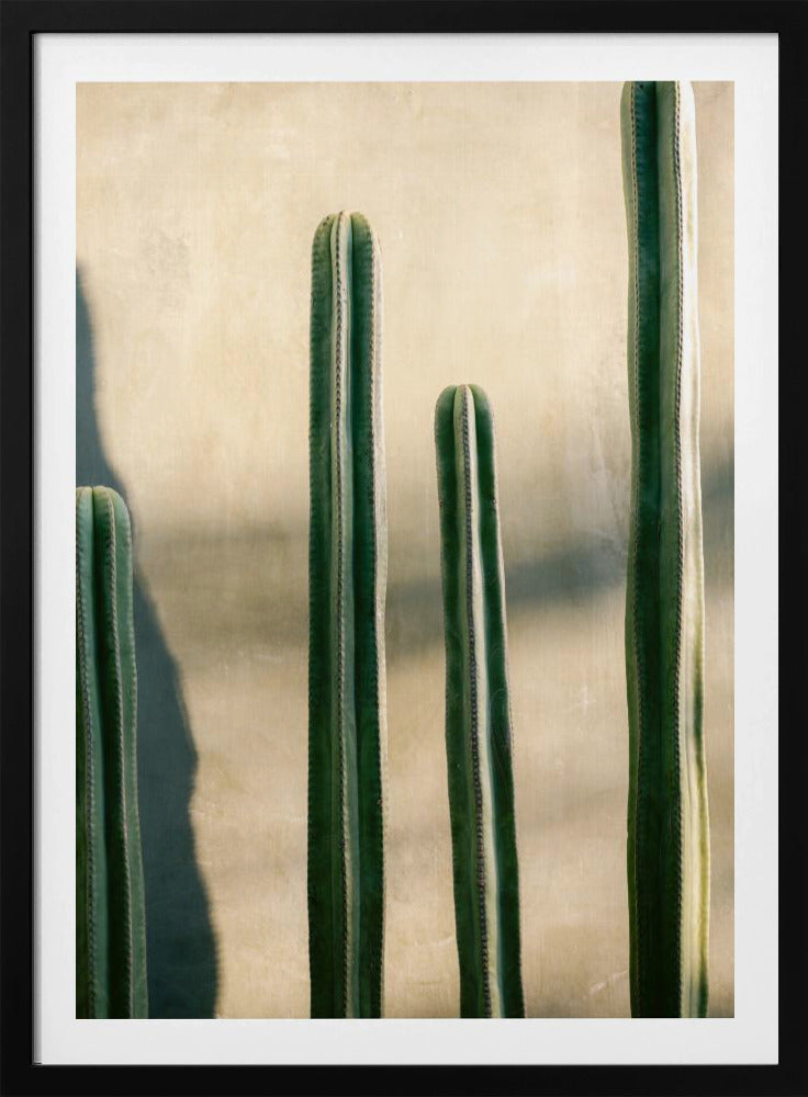 Oaxaca Shades of Green | Mexiko Reisefotografie | Poster