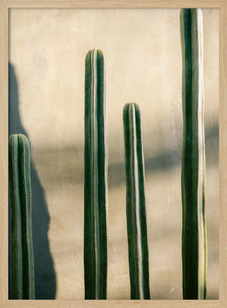 Oaxaca Shades of Green | Mexiko Reisefotografie | Poster