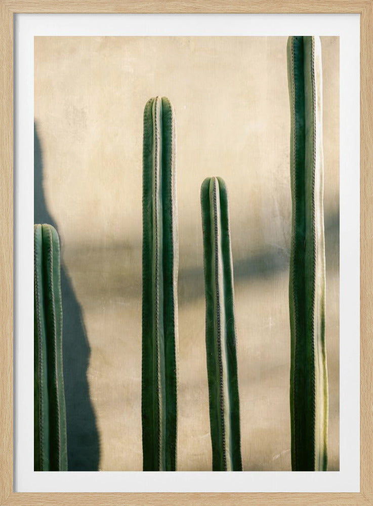 Oaxaca Shades of Green | Mexiko Reisefotografie | Poster