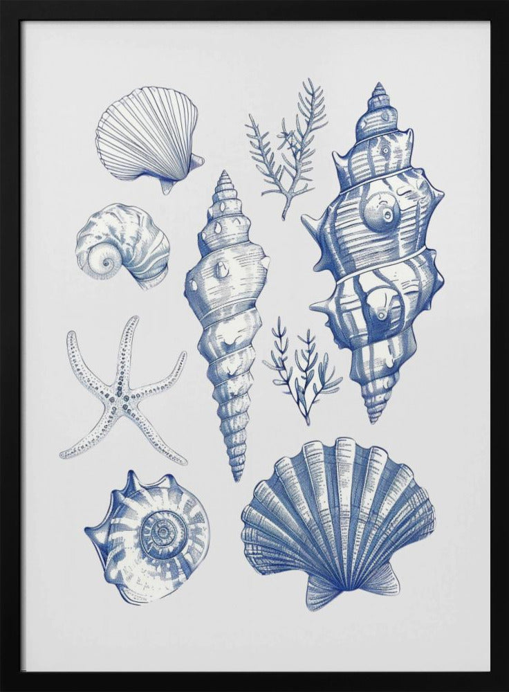 Muschelcollage | Poster