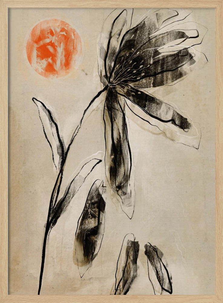 Shadowed Bloom | Poster