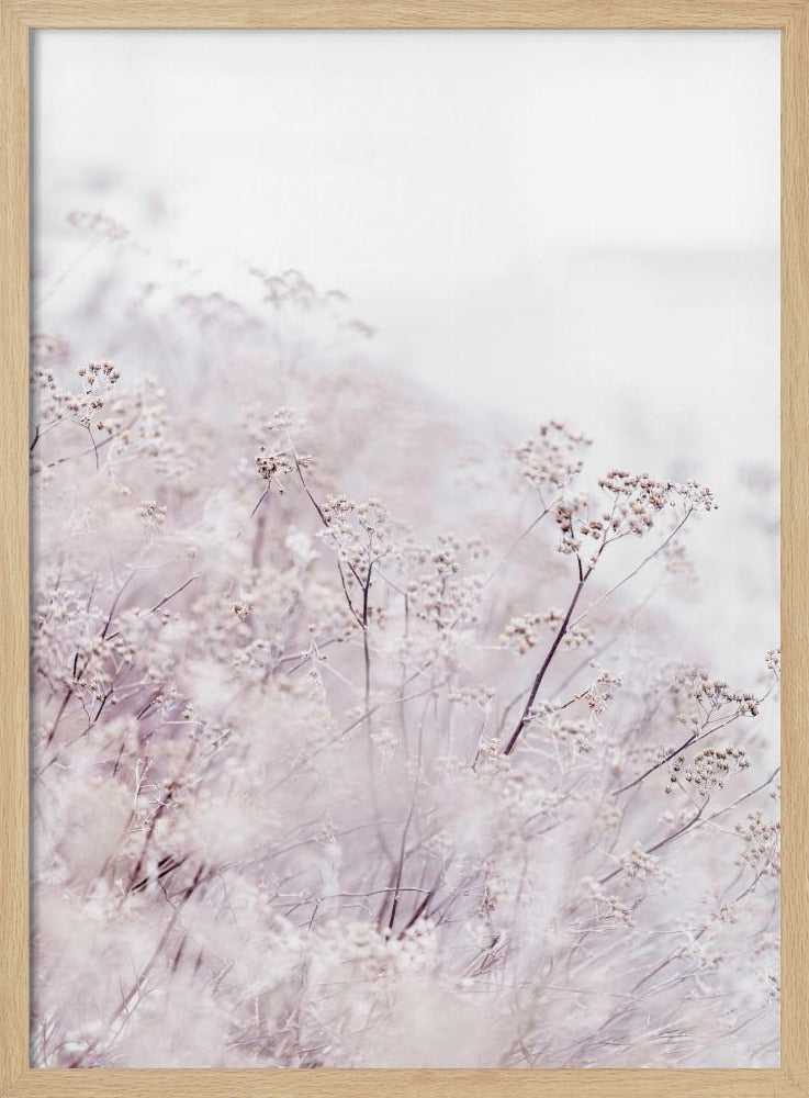 Unbekannt 13 | Poster