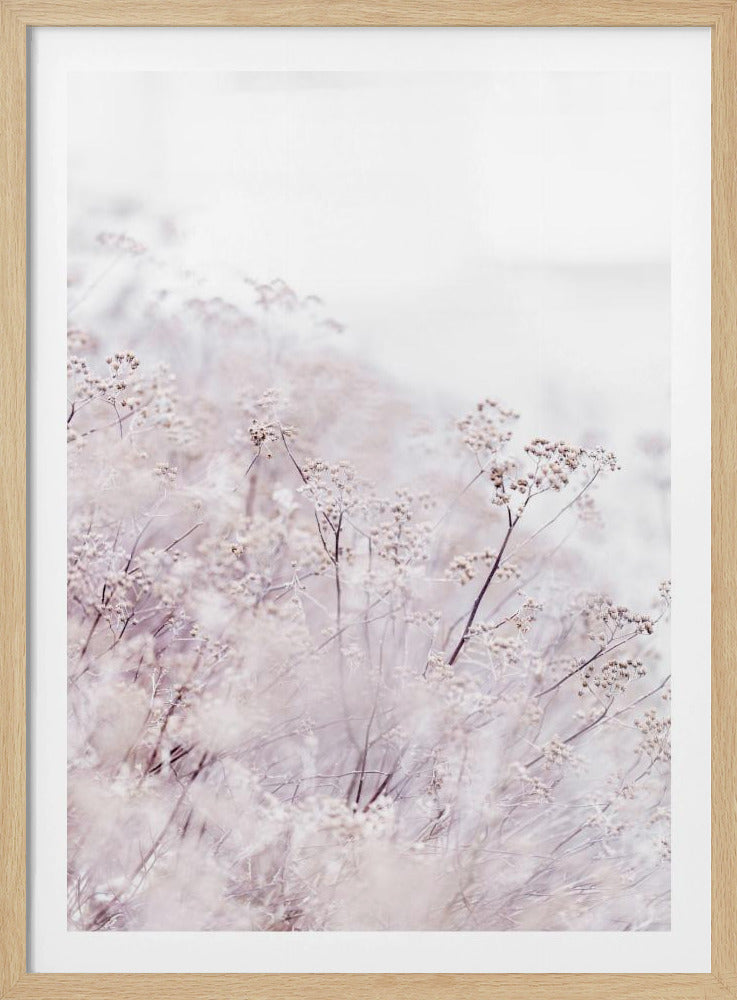 Unbekannt 13 | Poster
