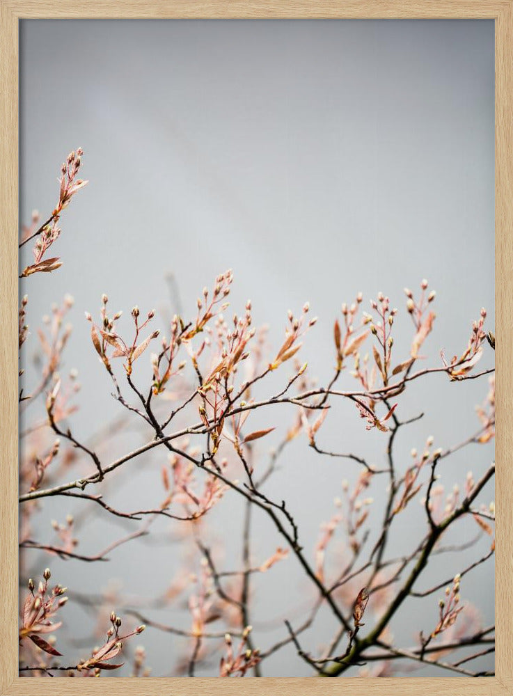 Unbekannt 11 | Poster