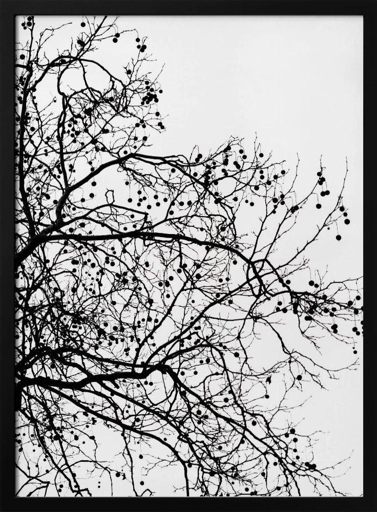 Wintersilhouetten 5 | Poster