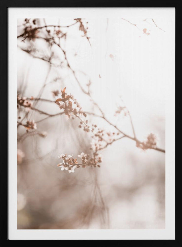 Letzter Frühling 3 | Poster