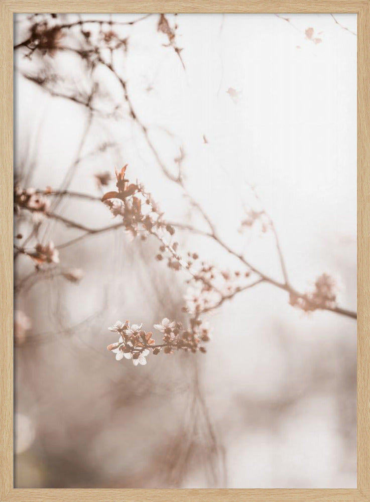Letzter Frühling 3 | Poster