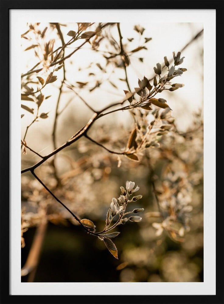 Letzter Frühling 4 | Poster