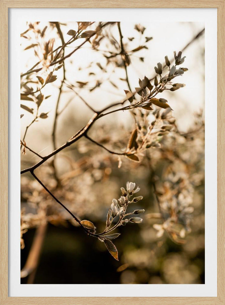 Letzter Frühling 4 | Poster