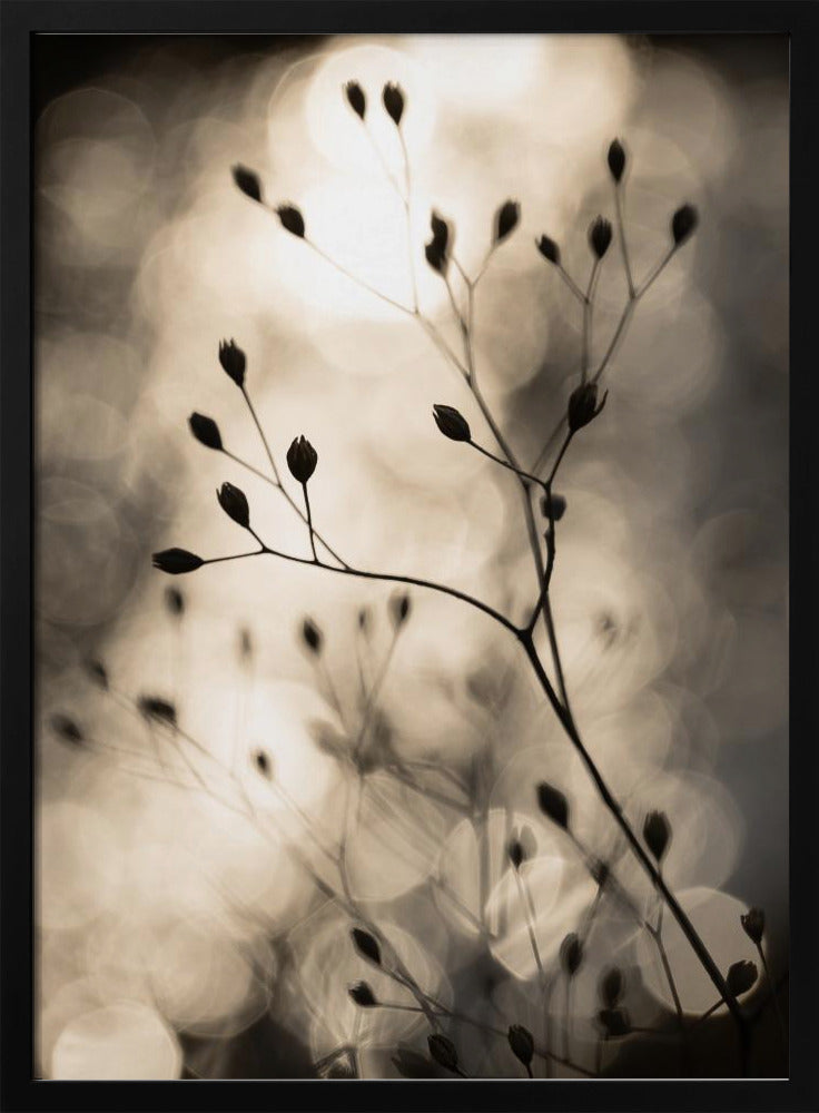 Sonnensilhouetten 1 | Poster