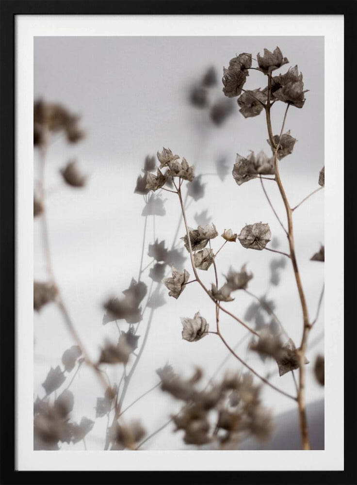 Letzter Sommer 31 | Poster