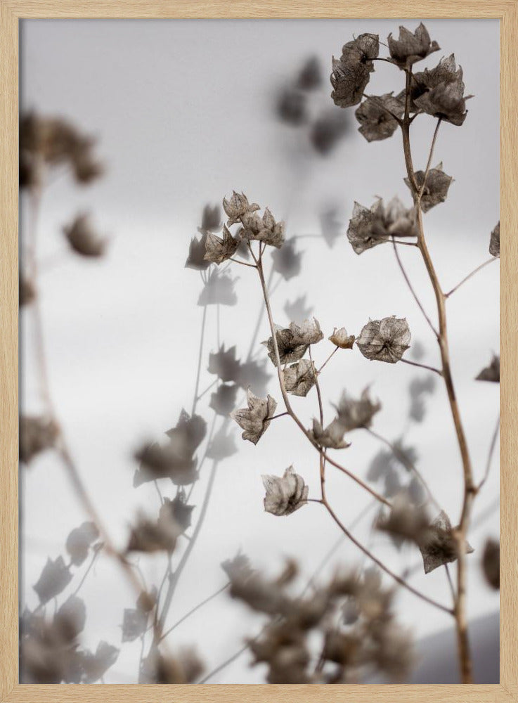 Letzter Sommer 31 | Poster