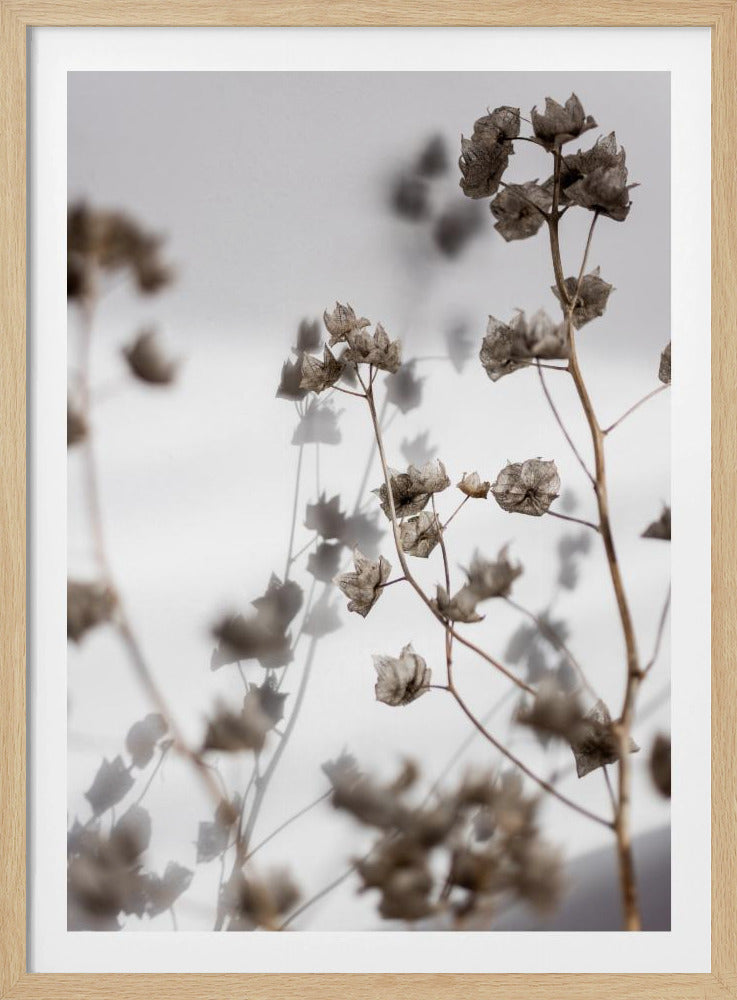 Letzter Sommer 31 | Poster