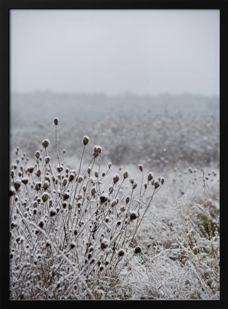 Winterfeld 4 | Poster