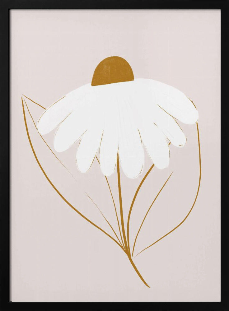 Weißes Gänseblümchen | Poster