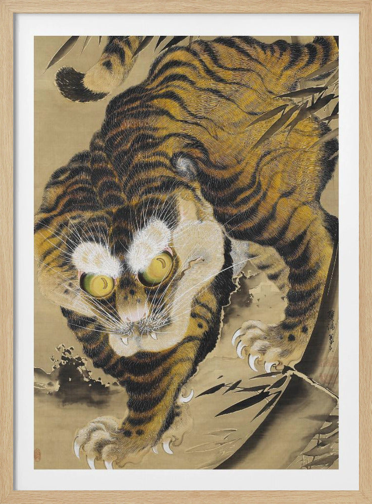 Tiger, der aus Bambus auftaucht (18. Jahrhundert) | Poster