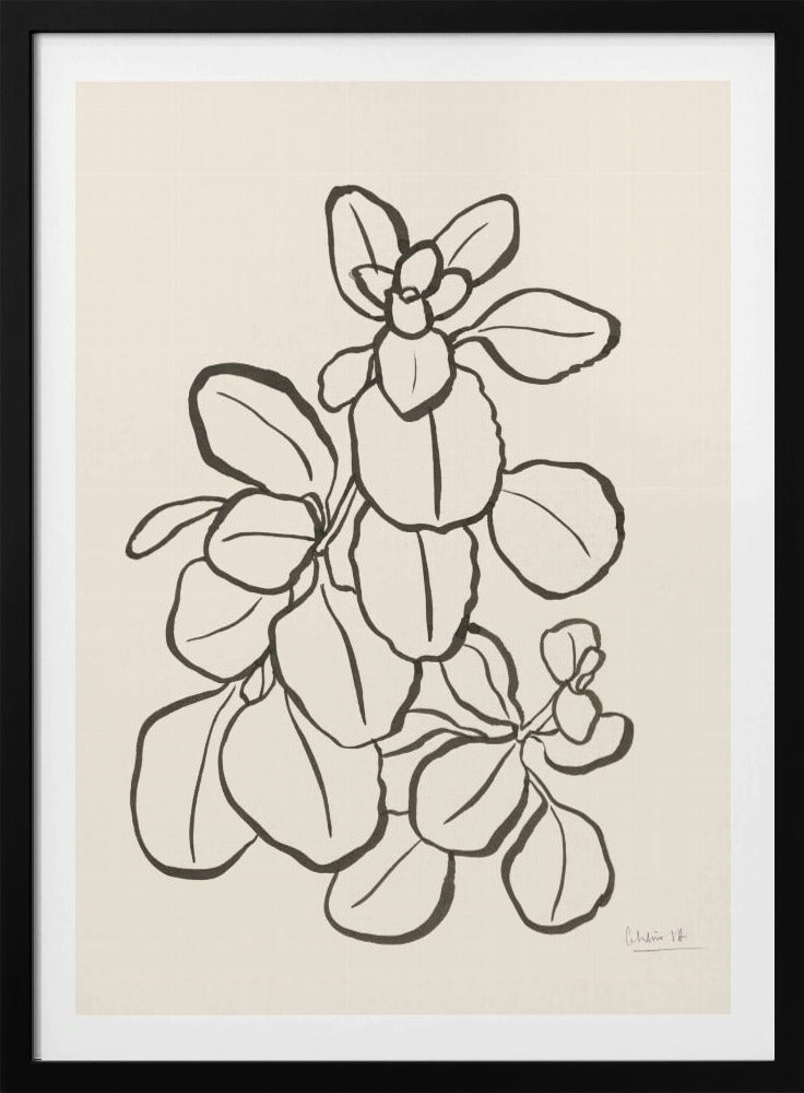 Kalanchoe Pflanze | Poster