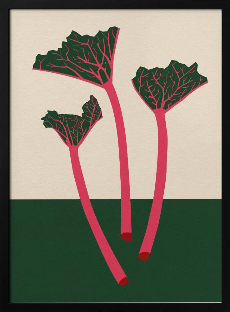 Schwedischer Garten-Rhabarber | Poster