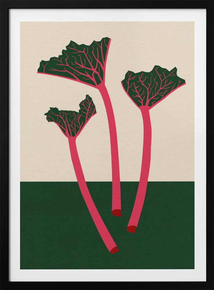 Schwedischer Garten-Rhabarber | Poster