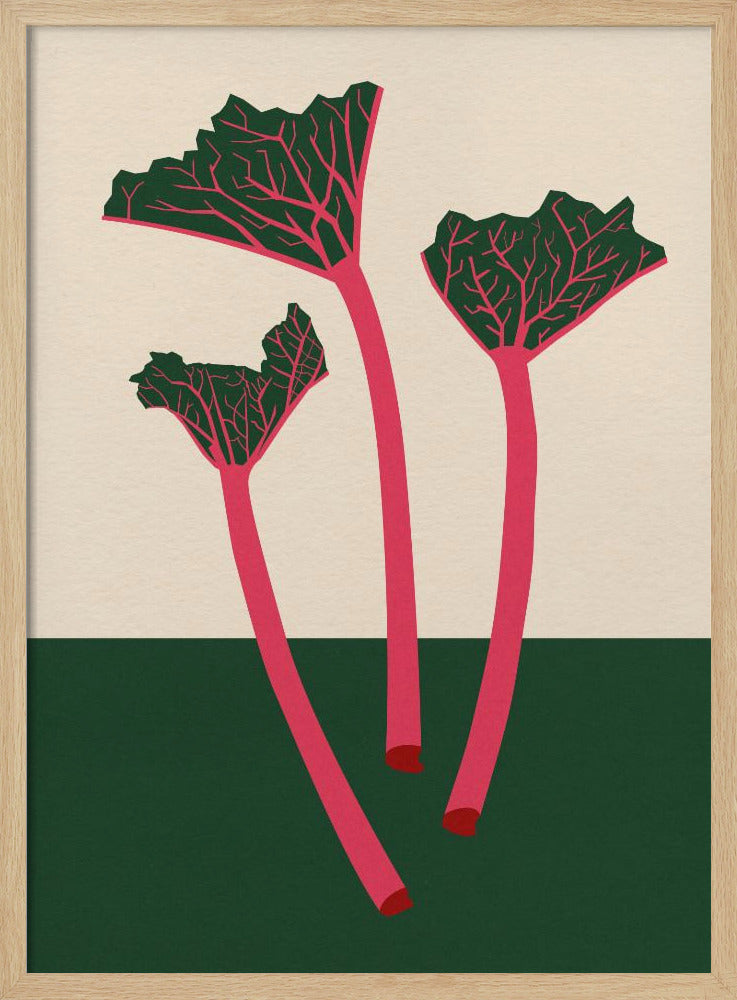 Schwedischer Garten-Rhabarber | Poster