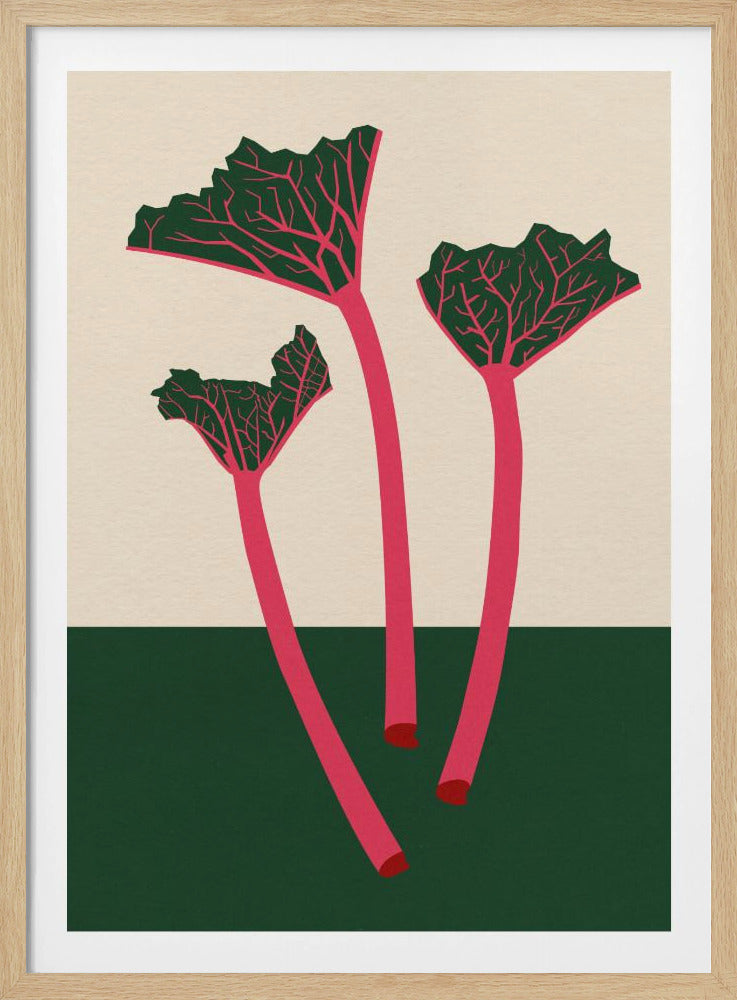 Schwedischer Garten-Rhabarber | Poster