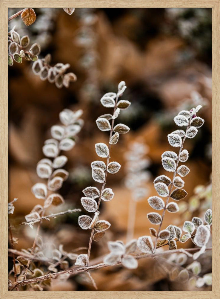 Ein Wintermorgen 2 | Poster