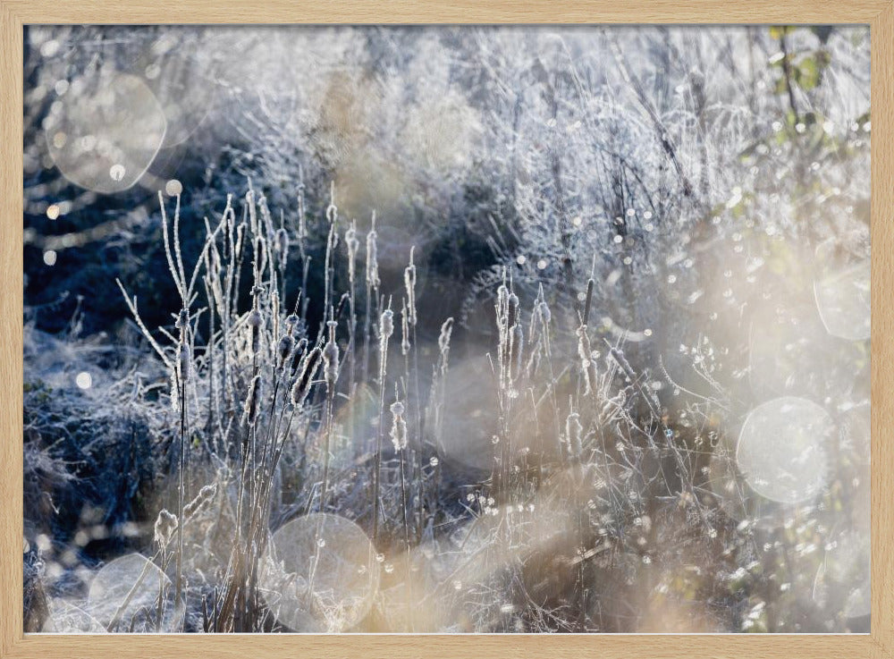 Ein Wintermorgen 3 | Poster