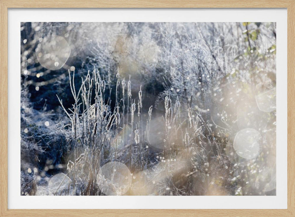 Ein Wintermorgen 3 | Poster
