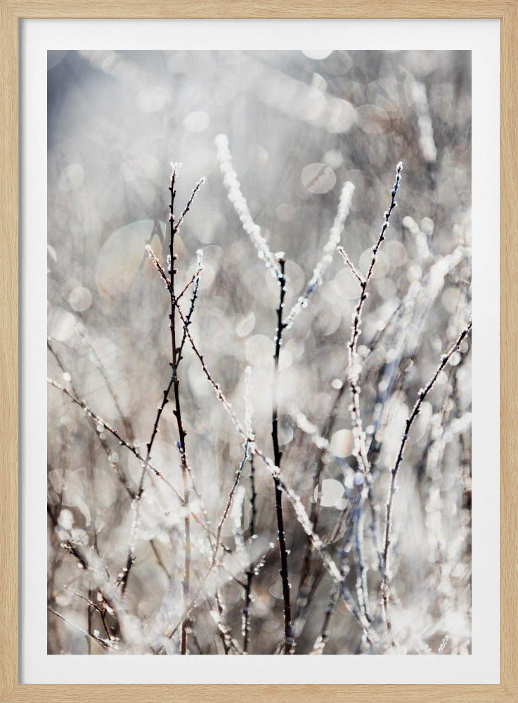 Ein Wintermorgen 4 | Poster