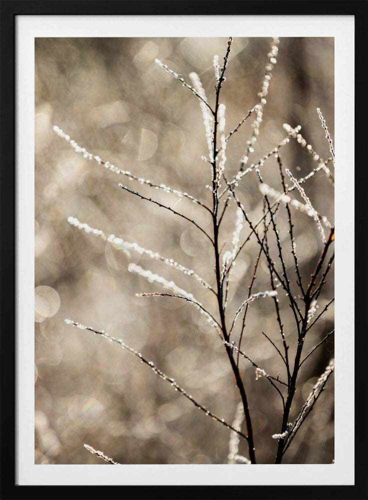 Ein Wintermorgen 5 | Poster