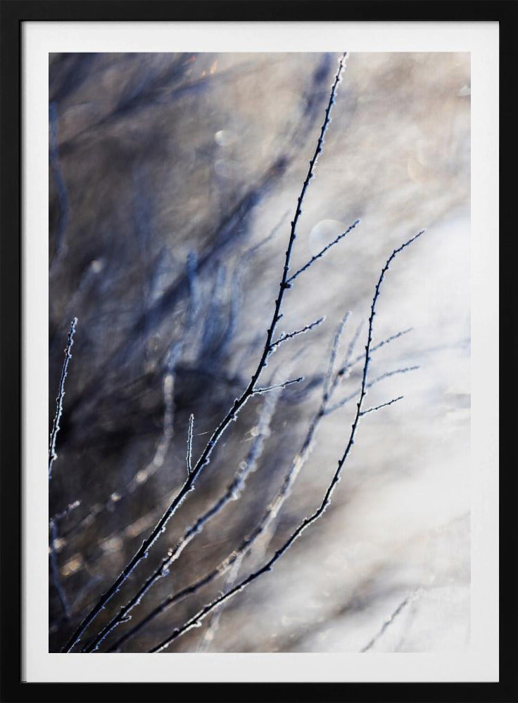 Ein Wintermorgen 7 018a4832 | Poster