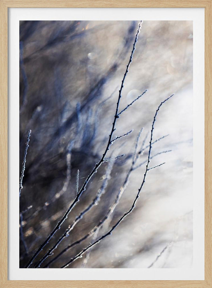 Ein Wintermorgen 7 018a4832 | Poster