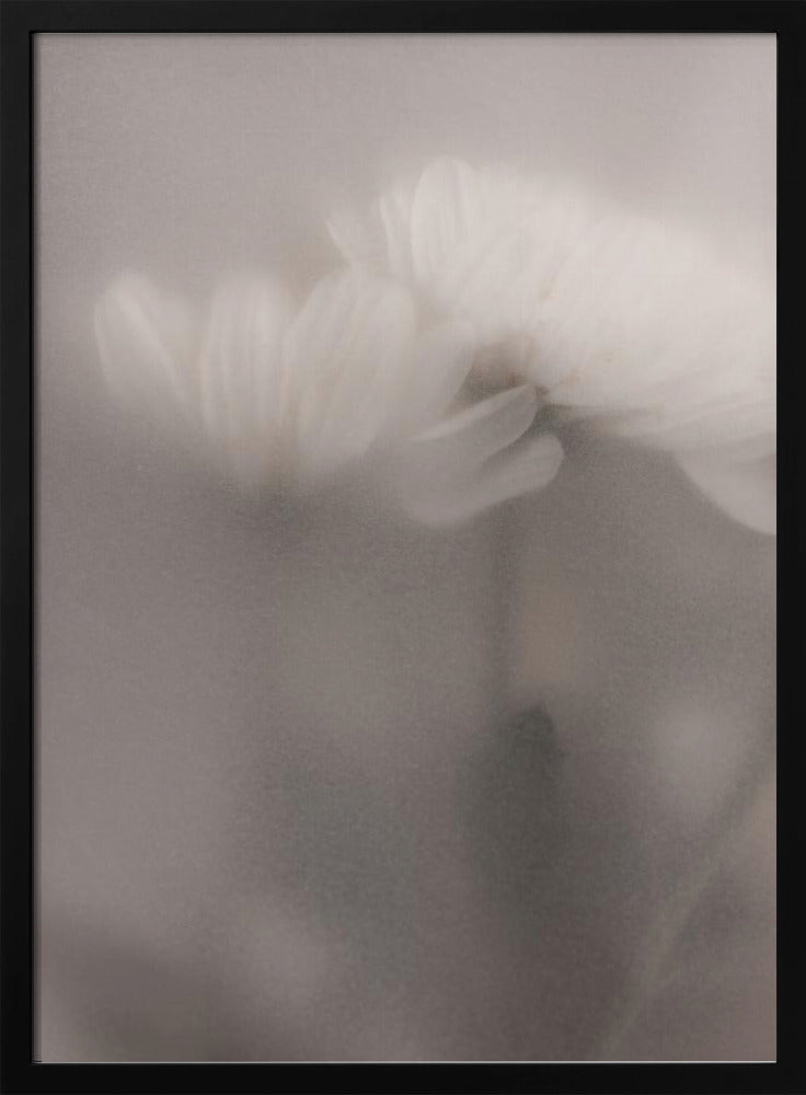 Verschwommene Blumen 3 | Poster