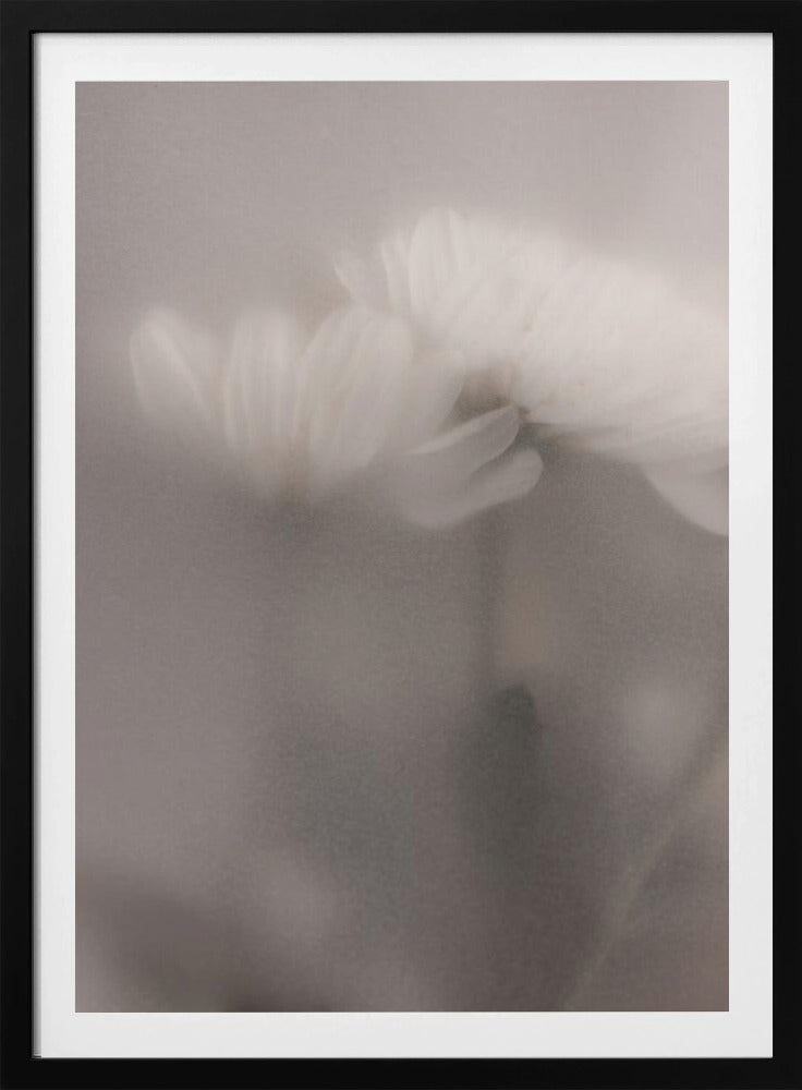Verschwommene Blumen 3 | Poster
