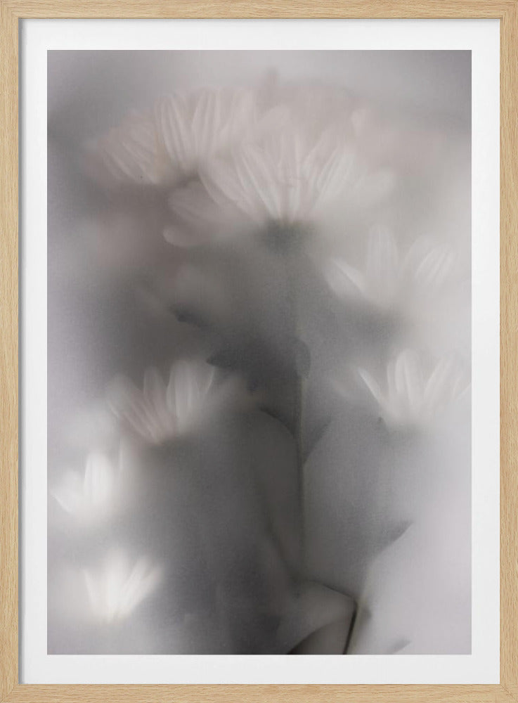Verschwommene Blumen 4 | Poster
