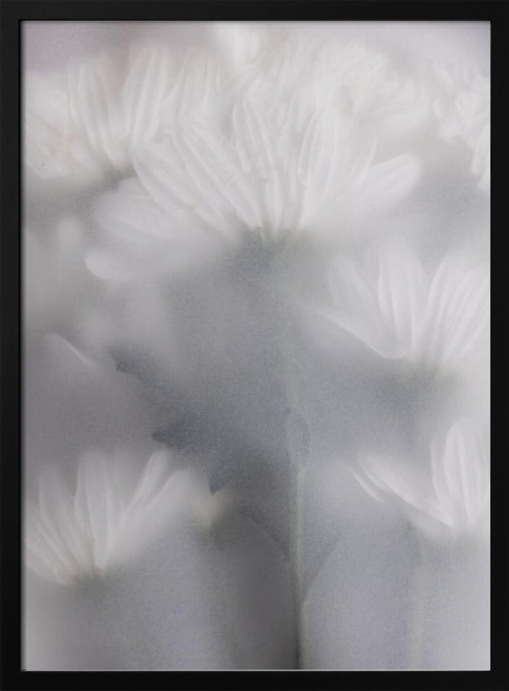 Verschwommene Blumen 6 | Poster