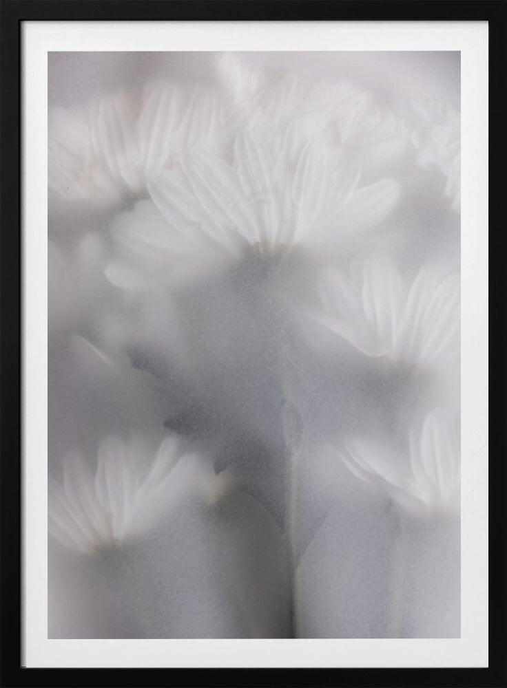 Verschwommene Blumen 6 | Poster