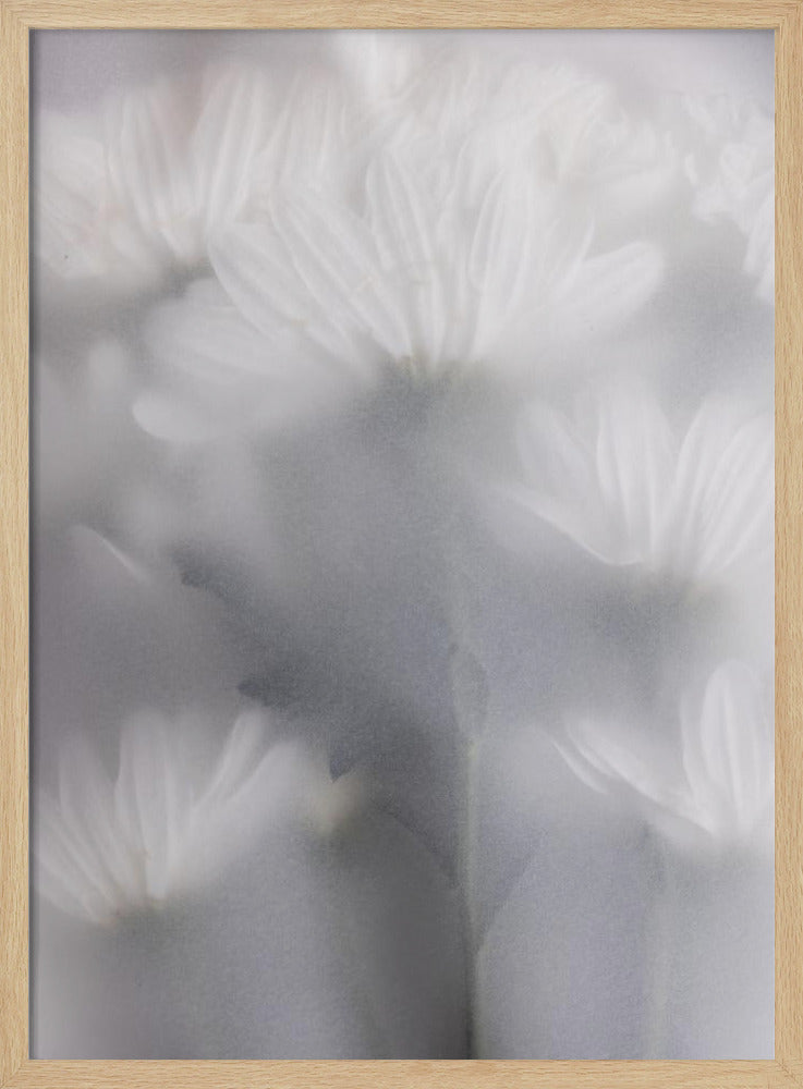 Verschwommene Blumen 6 | Poster