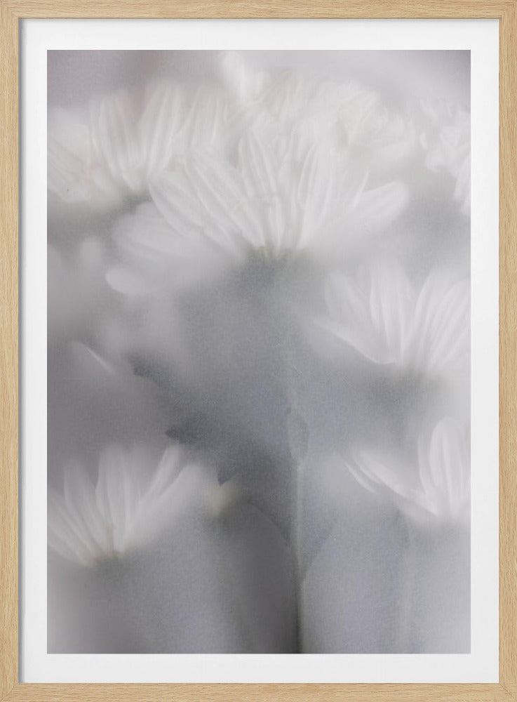 Verschwommene Blumen 6 | Poster