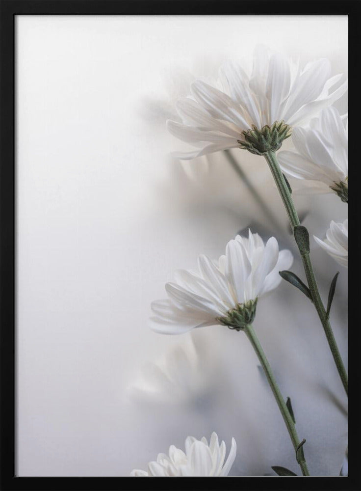Verschwommene Blumen 8 | Poster